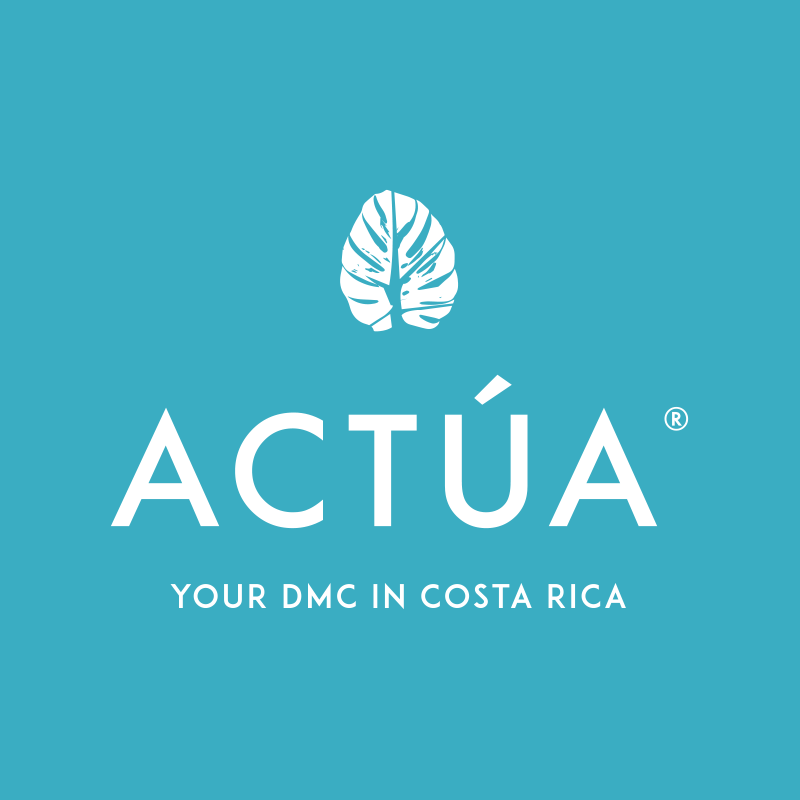 Image result for Actua DMC