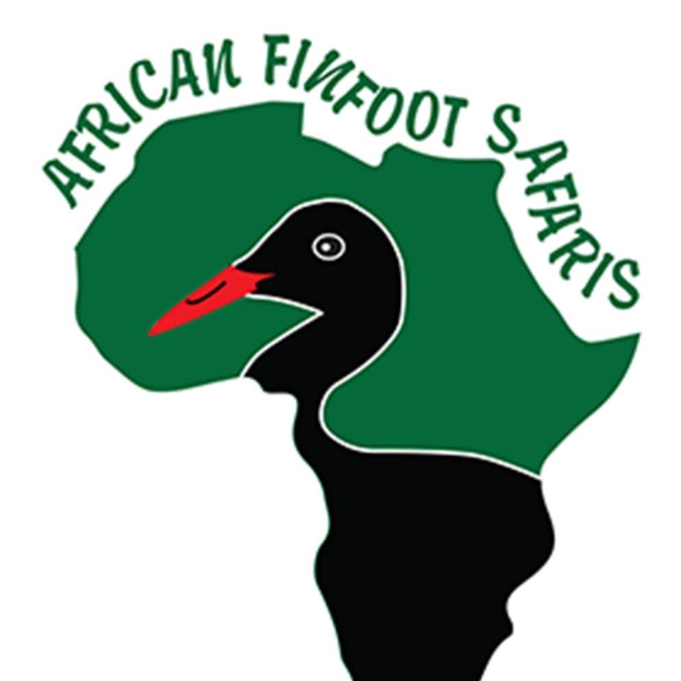 Image result for African Finfoot Safaris