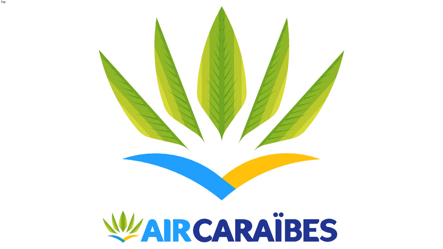 Image result for Air Caraïbes – Préférence