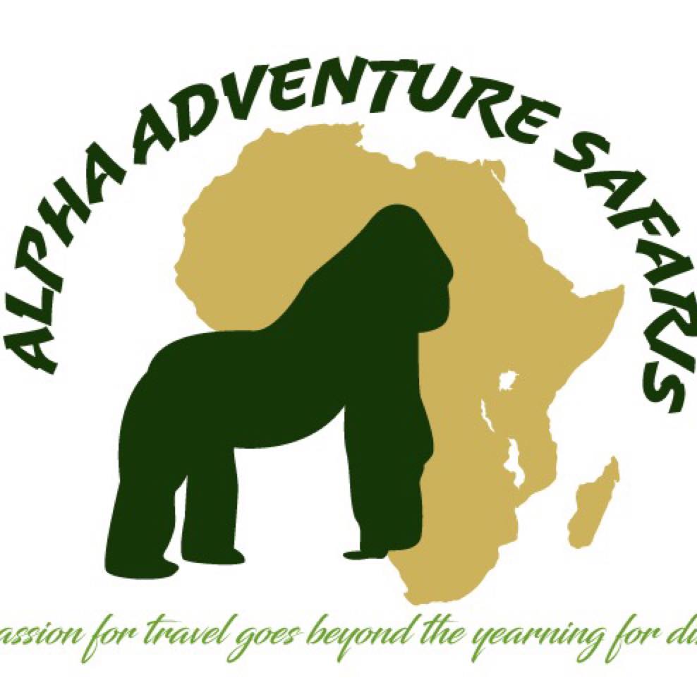Image result for Alpha Adventure Safaris