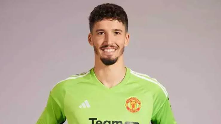 Image result for Altay Bayindir