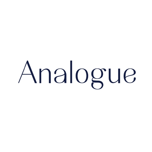 Image result for Analogue