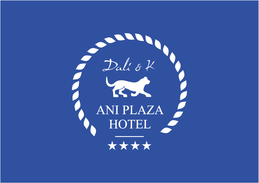 Image result for Ani Plaza Hotel