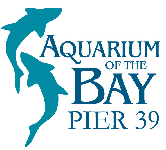 Image result for Aquarium of the Bay