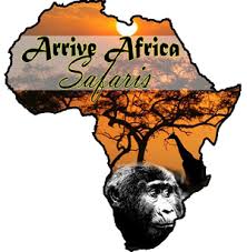 Image result for Arrive Africa Safaris