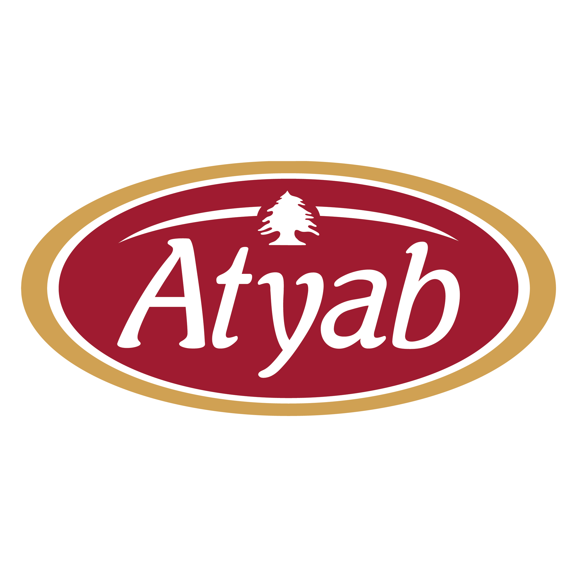 Image result for Atyab