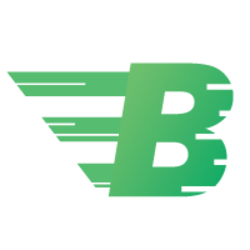 Image result for Bitcashpay (old)