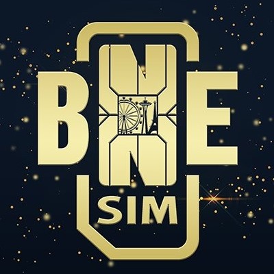 Image result for BNESIM