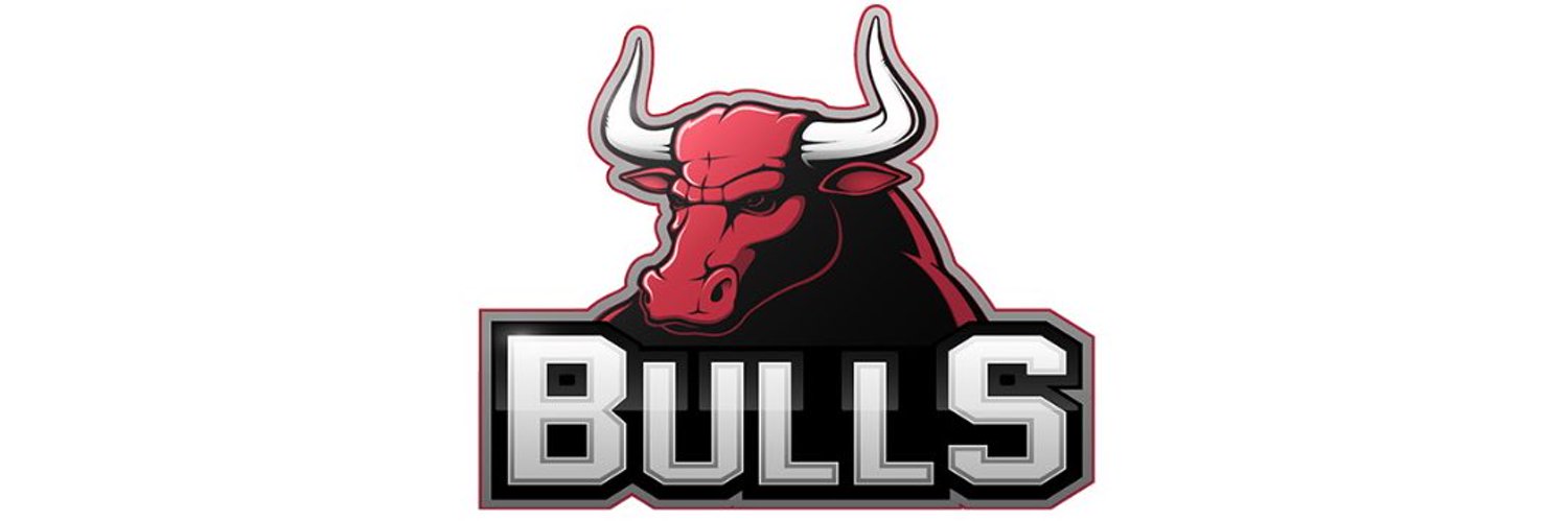 Image result for BULLS