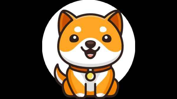 Image result for Baby Doge Coin