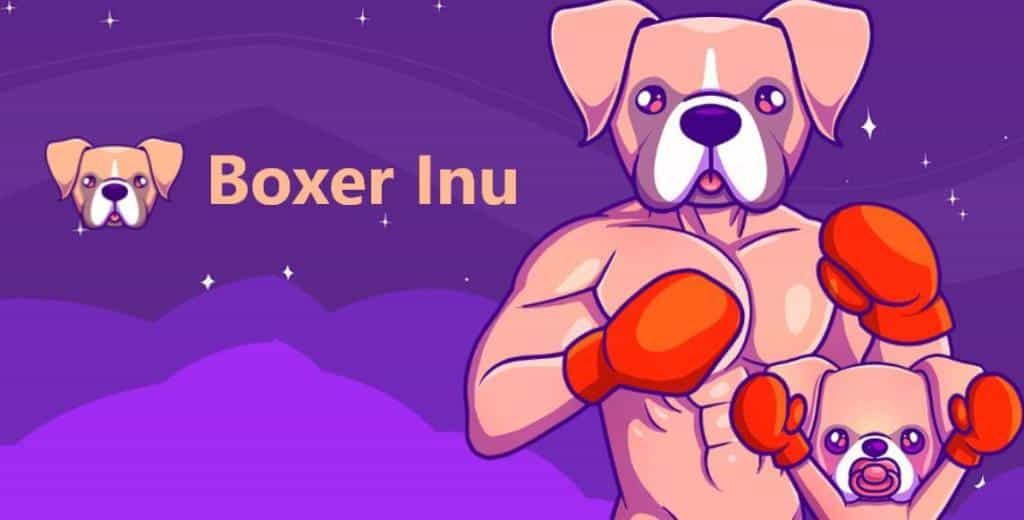 Image result for Baby Boxer