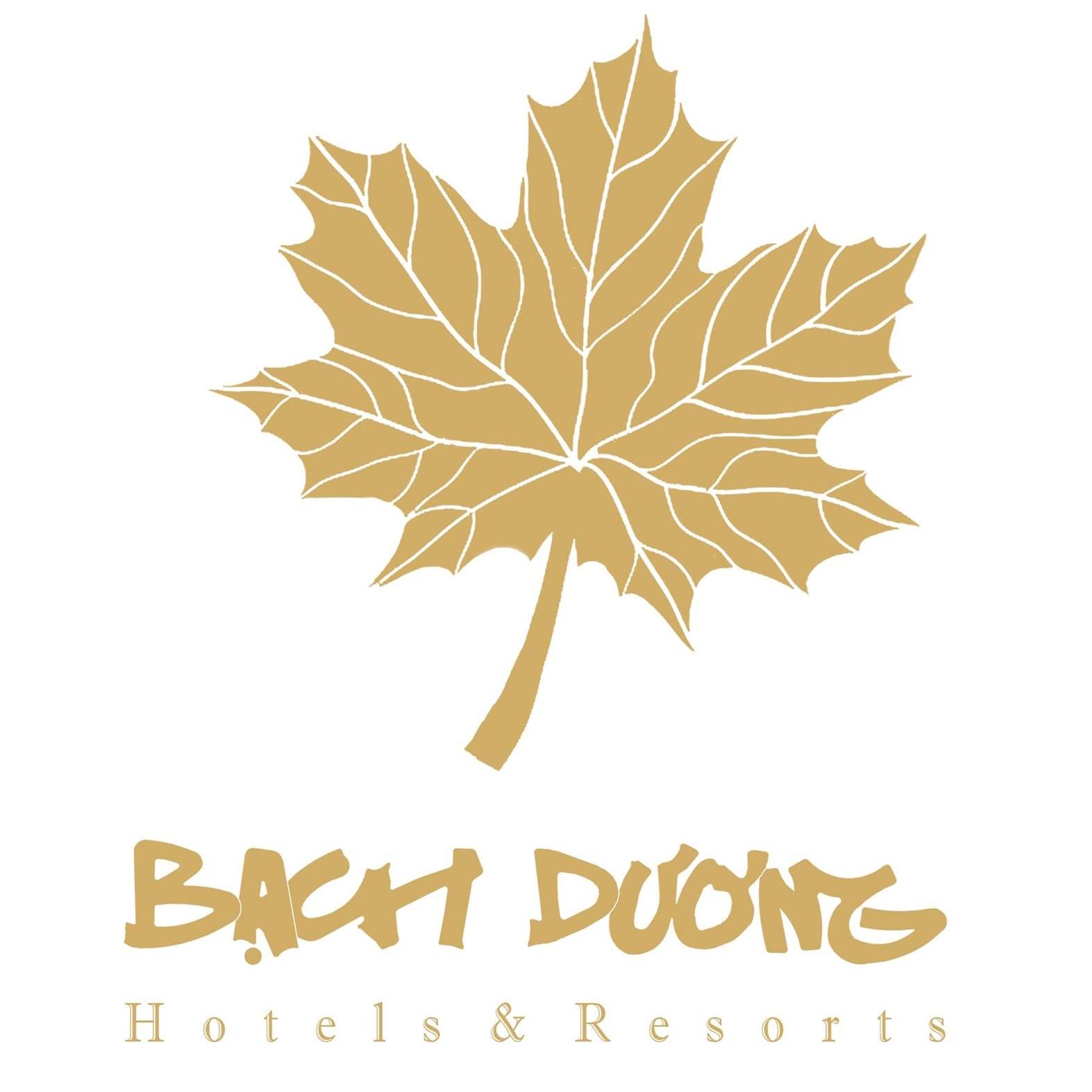 Image result for Bach Duong Hotel 