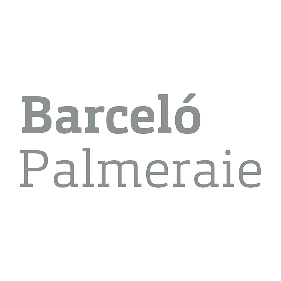 Image result for Barceló Palmeraie