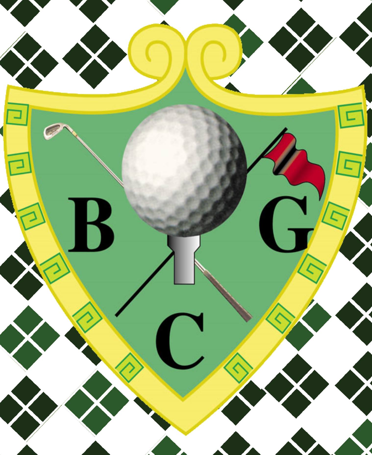 Image result for Barquisimeto golf club