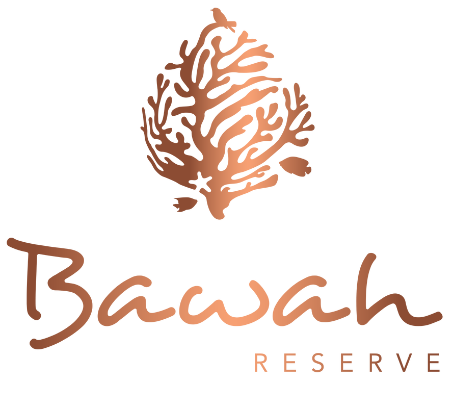 Image result for Bawah Reserve