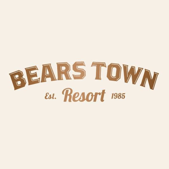 Image result for Bears Town