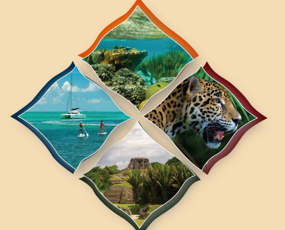 Image result for Belize Tourism Industry Association