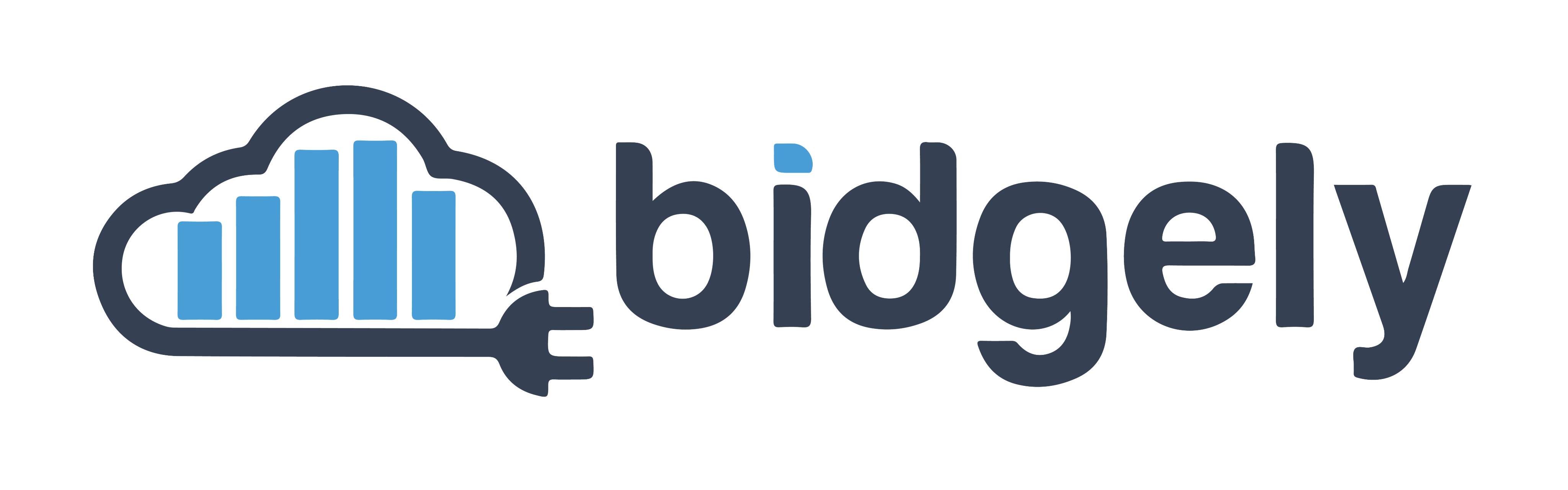 Image result for Bidgely