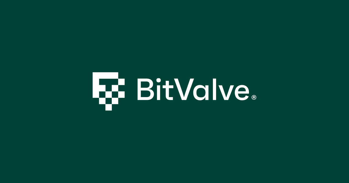 Image result for BitValve