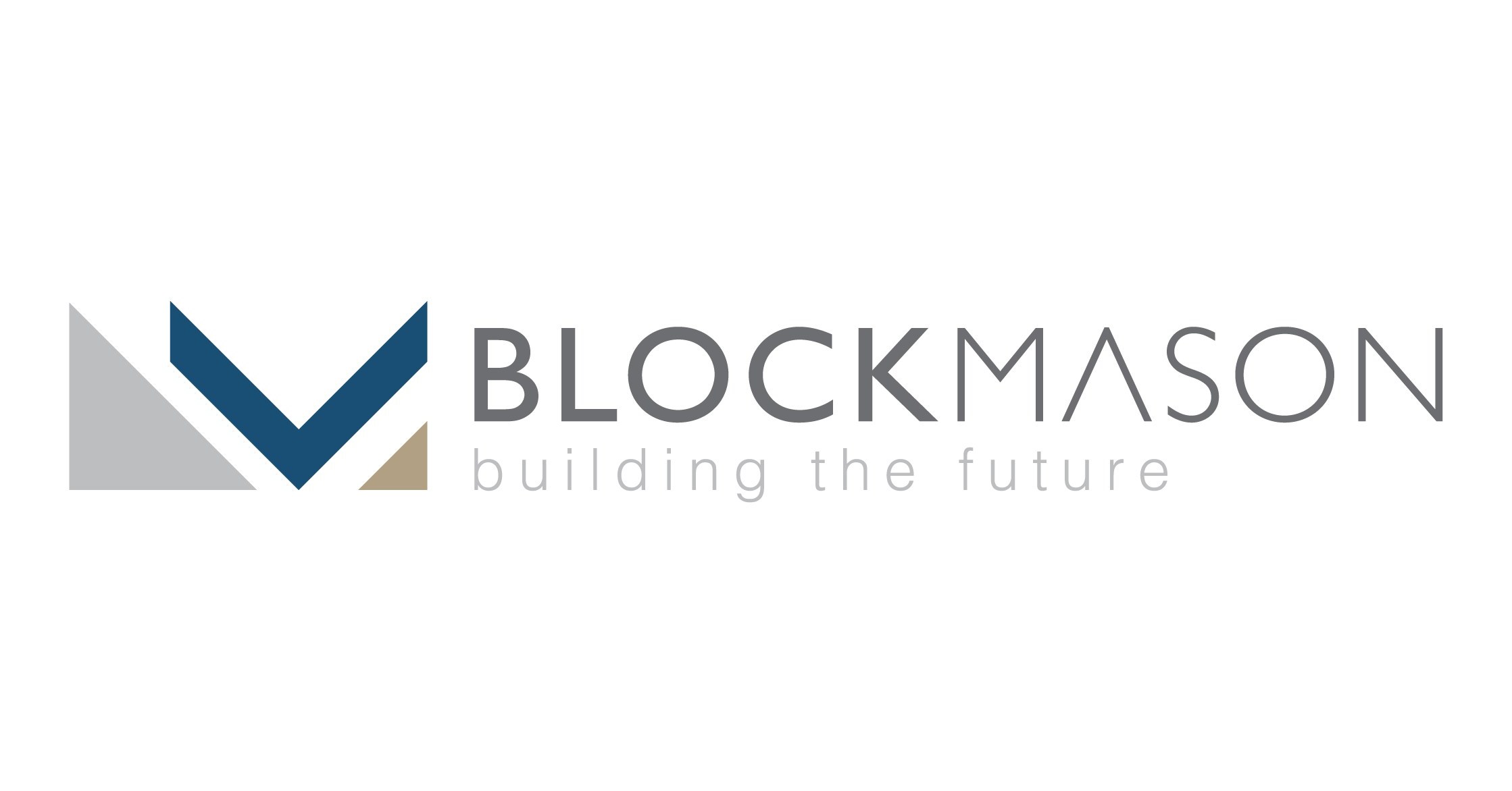 Image result for Blockmason Link