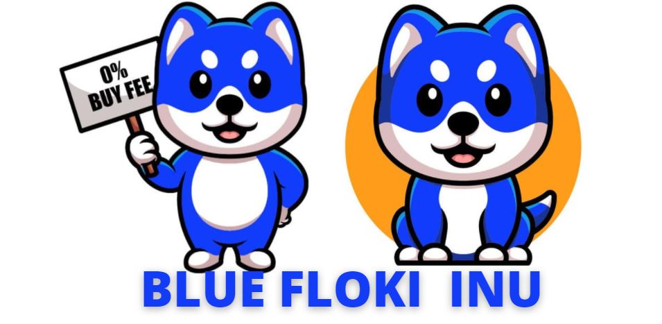 Image result for Blue Floki Inu