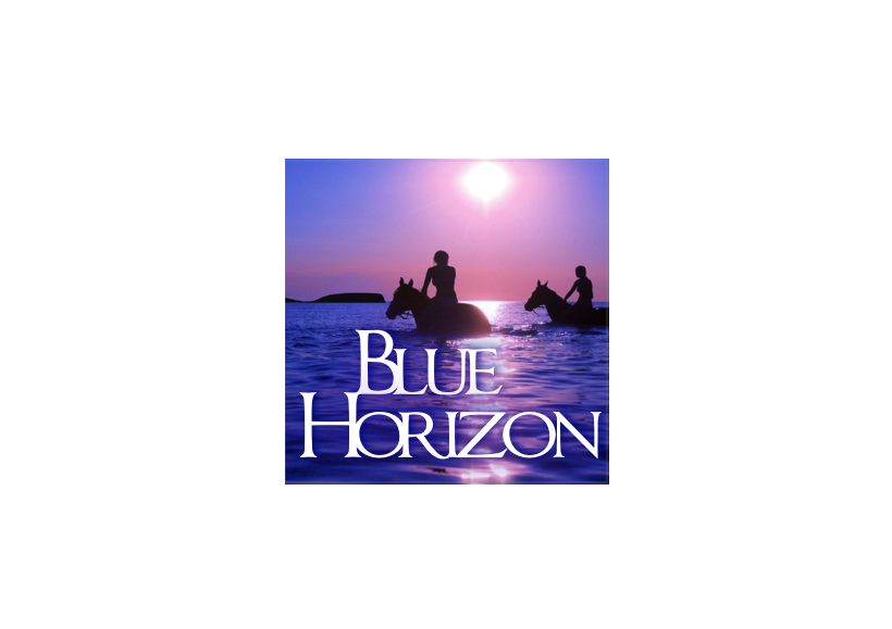 Image result for Blue Horizon Boutique Resort