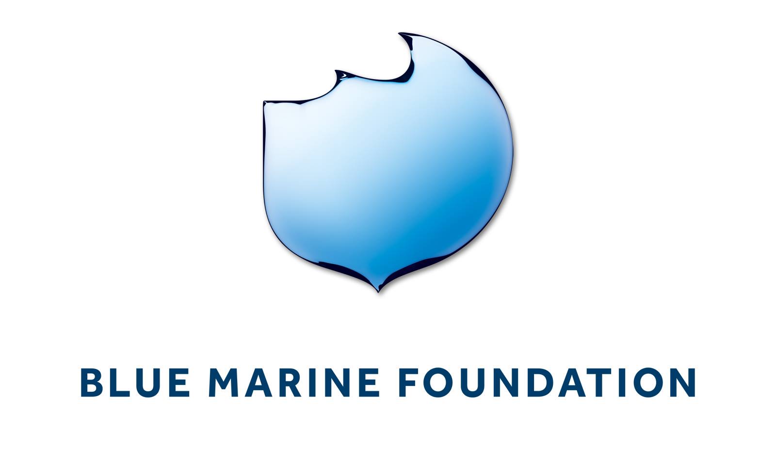 Image result for Blue Marine Foundation