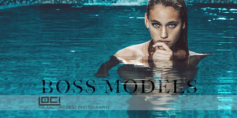 Image result for Boss Models