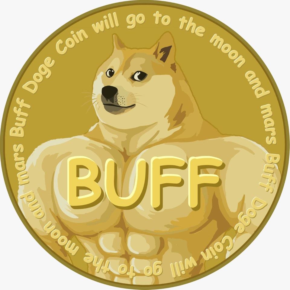 Image result for Buff Doge Coin