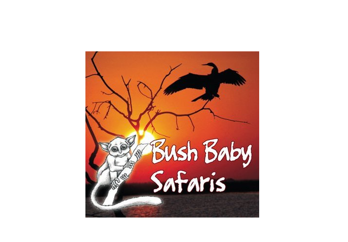 Image result for Bush Baby Safaris