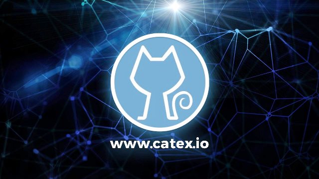 Image result for Catex Token