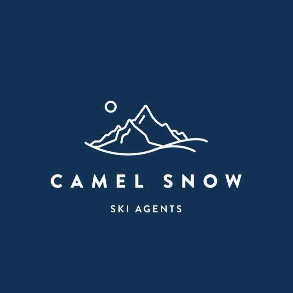 Image result for Camel Snow