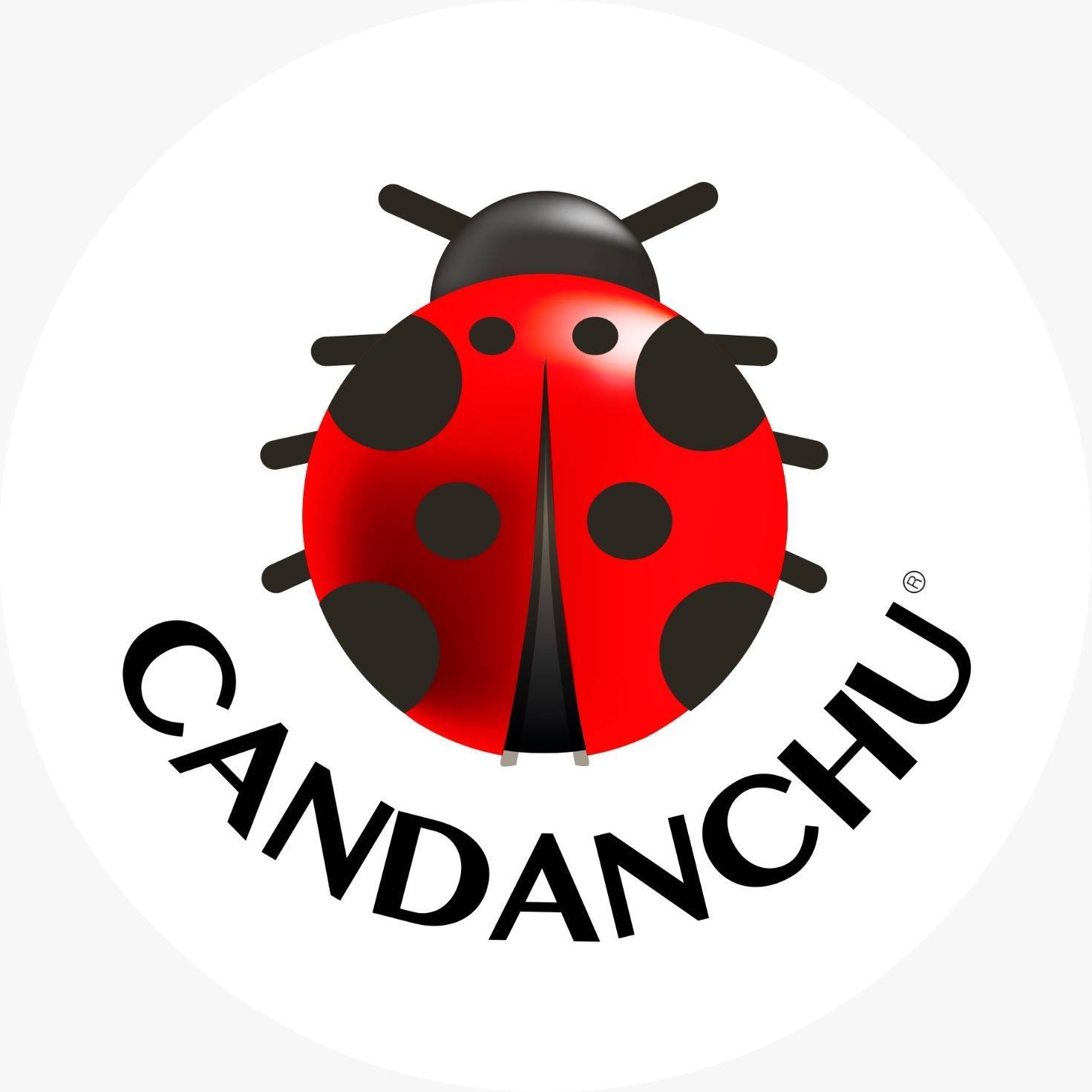 Image result for Candanchú