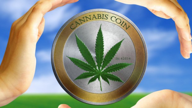 Image result for CannabisCoin