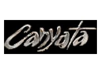 Image result for Canyata Golf Club