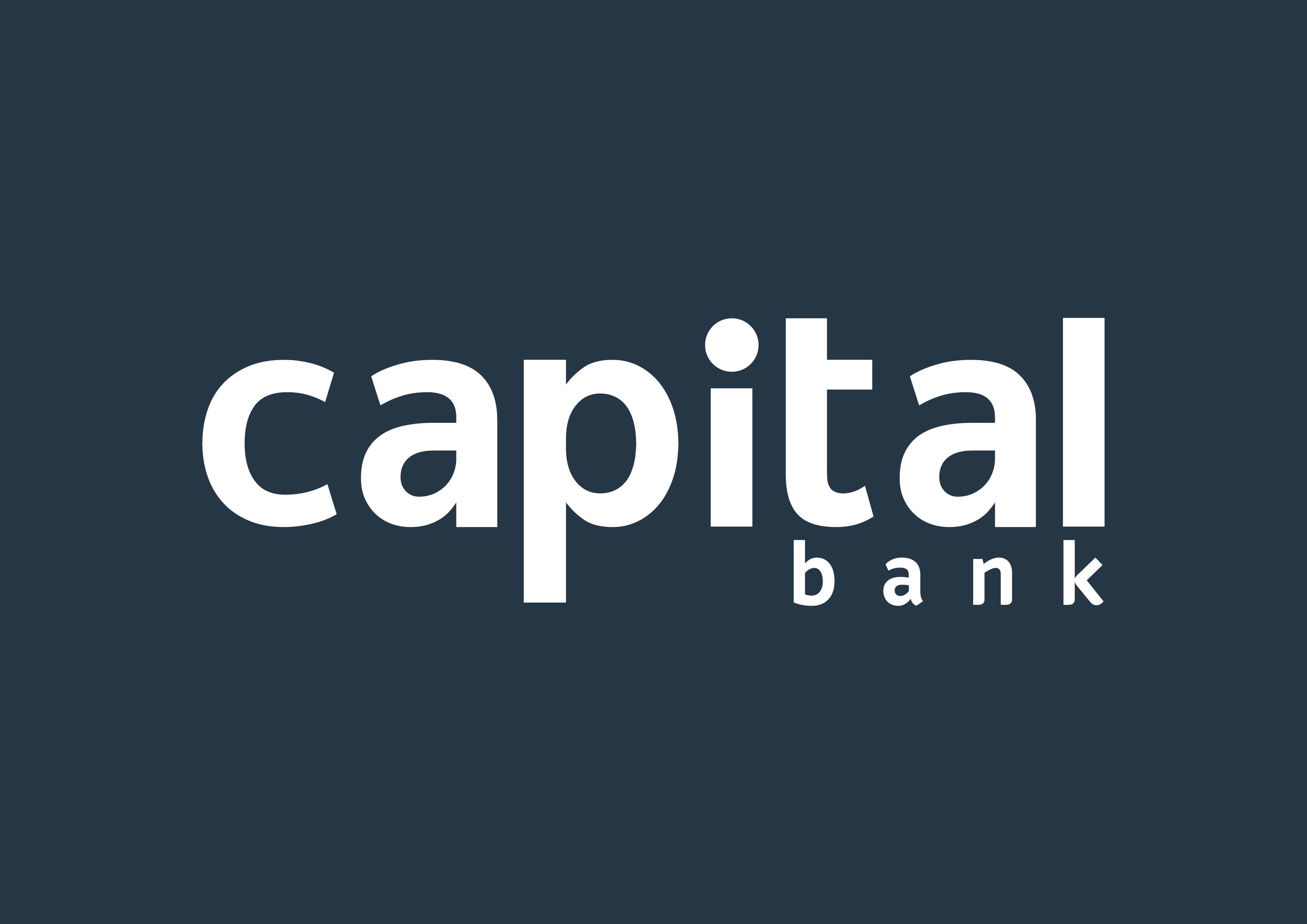 Image result for Capital Bank