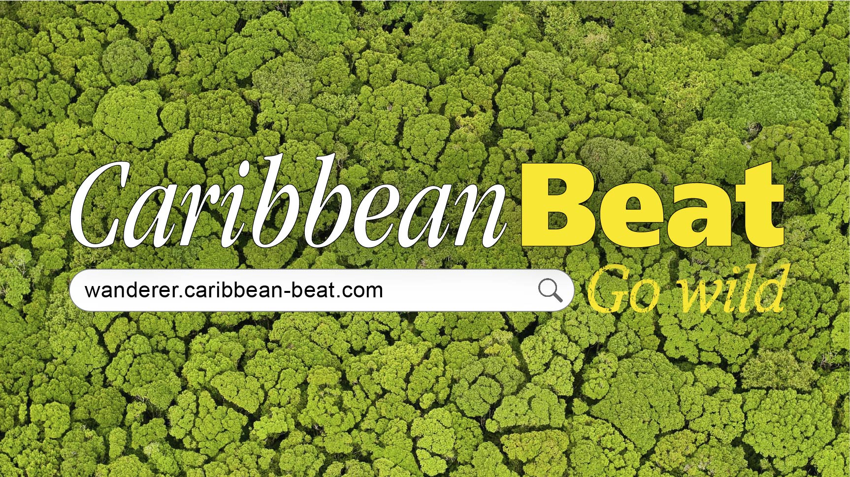 Image result for Caribbean Beat