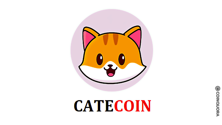 Image result for CateCoin