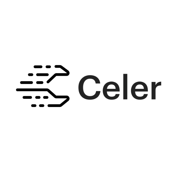 Image result for Celer Network