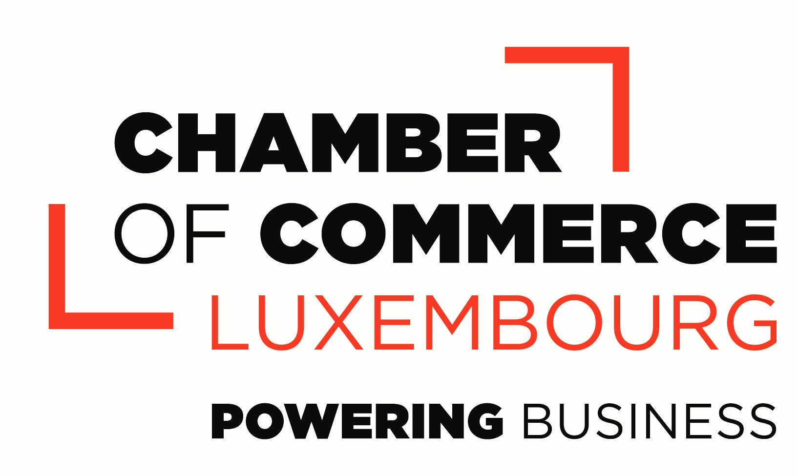 Image result for Chamber of Commerce of Luxembourg