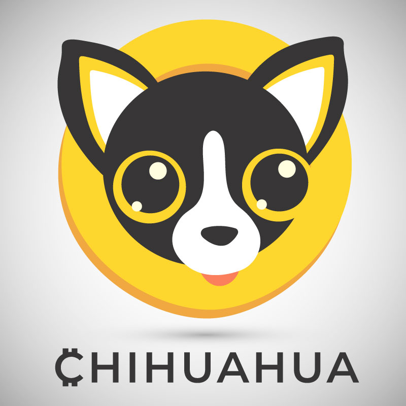 Image result for Chihuahua