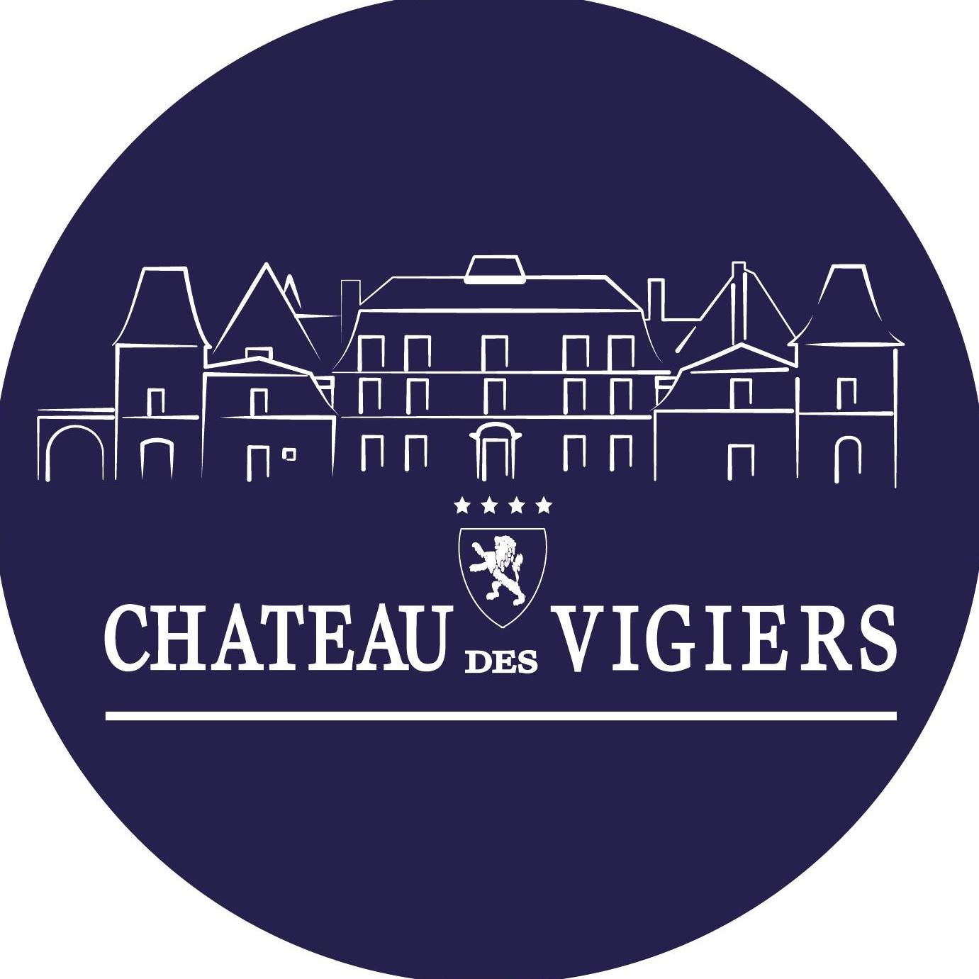 Image result for Château des Vigiers