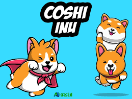 Image result for CoShi Inu