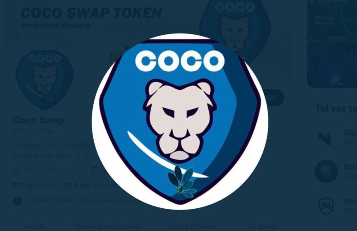 Image result for Coco Swap