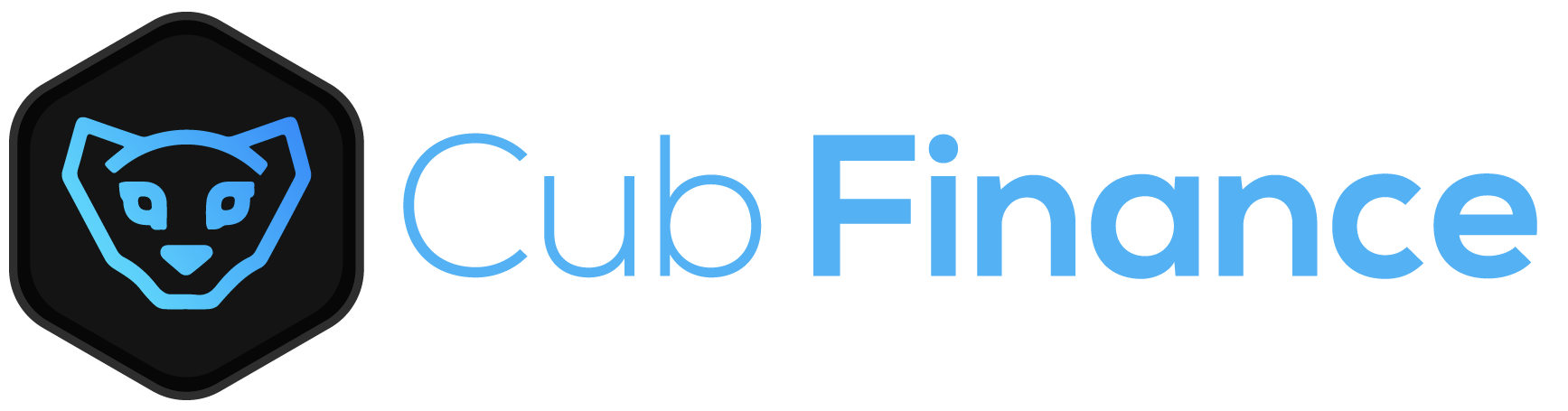 Image result for Cub Finance