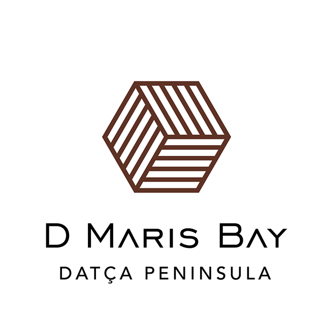 Image result for D Maris Bay