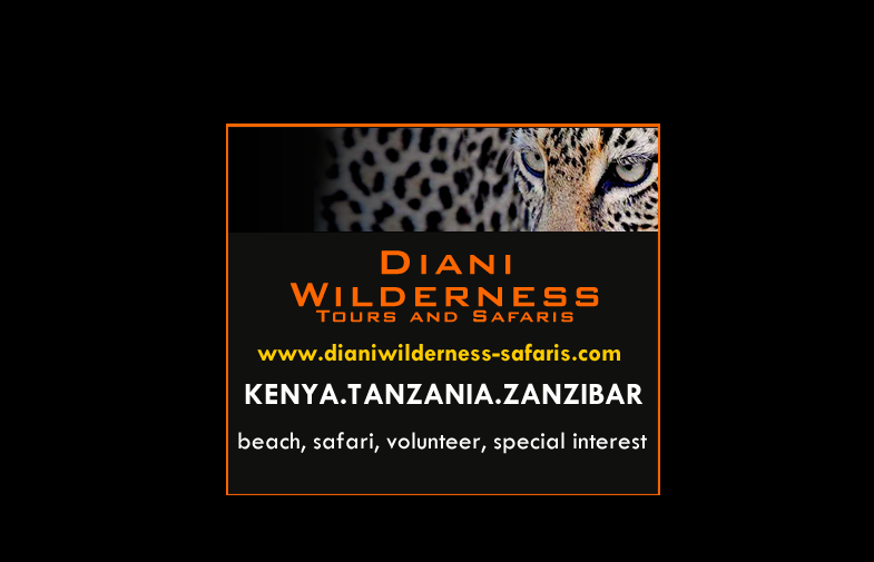 Image result for DIANI WILDERNESS TOURS AND SAFARIS