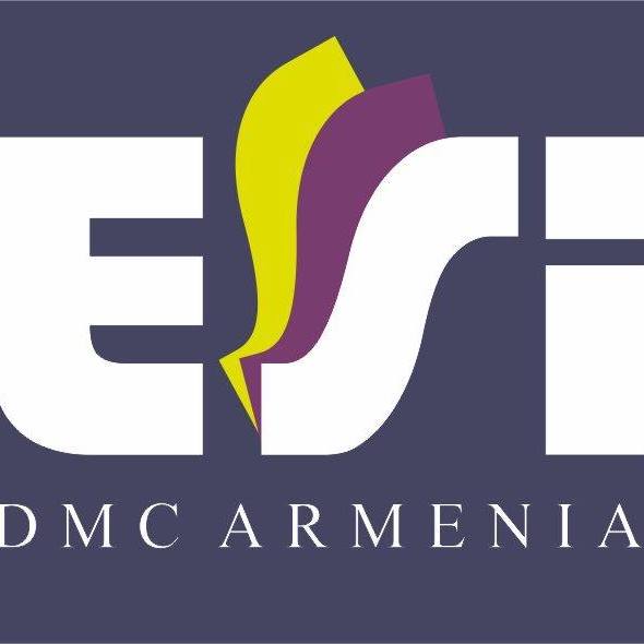 Image result for DMC Armenia