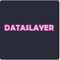 Image result for Dataslayer