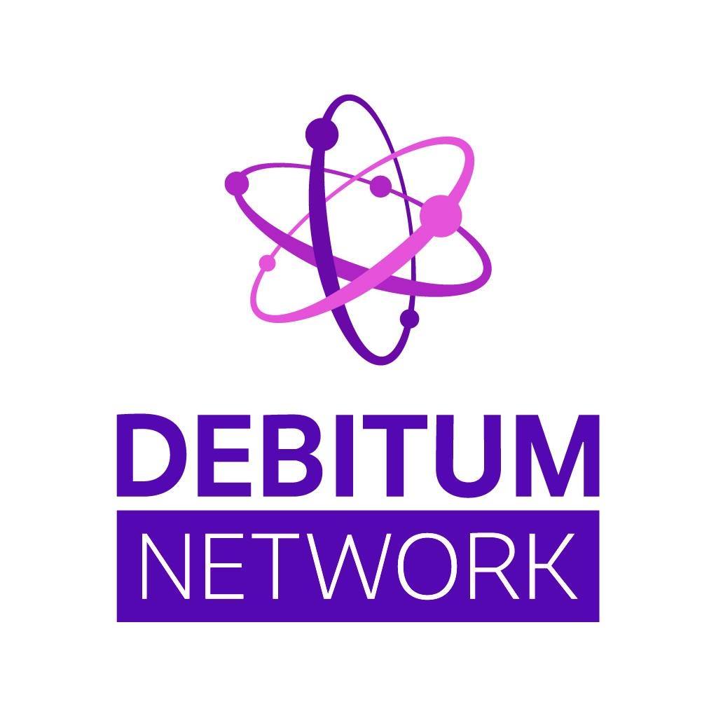 Image result for Debitum